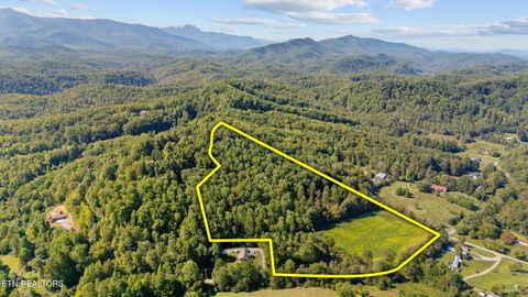 Tiny photo for 0 Jones Cove Rd, Cosby, TN 37722 (MLS # 1317326)