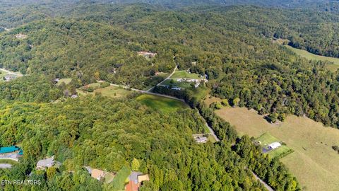 Tiny photo for 0 Jones Cove Rd, Cosby, TN 37722 (MLS # 1317326)