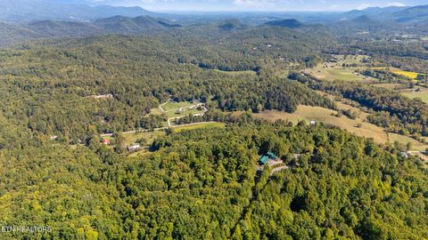 Tiny photo for 0 Jones Cove Rd, Cosby, TN 37722 (MLS # 1317326)
