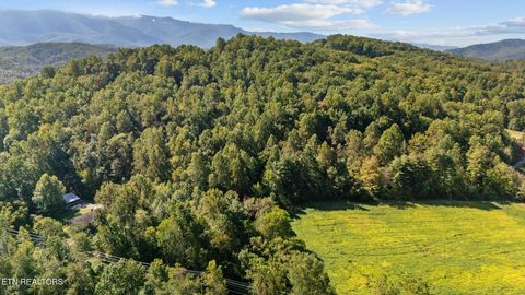 Tiny photo for 0 Jones Cove Rd, Cosby, TN 37722 (MLS # 1317326)