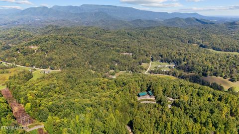 Tiny photo for 0 Jones Cove Rd, Cosby, TN 37722 (MLS # 1317326)