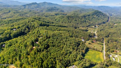 Tiny photo for 0 Jones Cove Rd, Cosby, TN 37722 (MLS # 1317326)