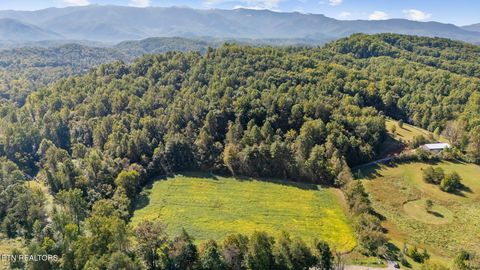 Tiny photo for 0 Jones Cove Rd, Cosby, TN 37722 (MLS # 1317326)