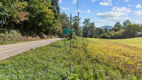 Tiny photo for 0 Jones Cove Rd, Cosby, TN 37722 (MLS # 1317326)