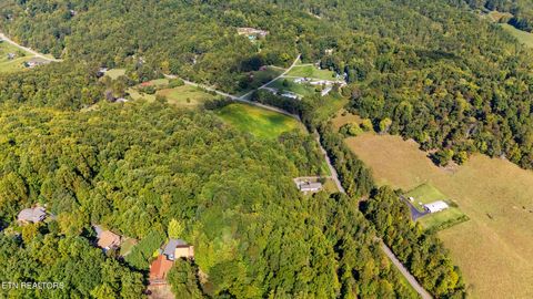 Tiny photo for 0 Jones Cove Rd, Cosby, TN 37722 (MLS # 1317326)