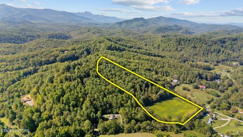 Photo of 0 Jones Cove Rd, Cosby, TN 37722 (MLS # 1317326)