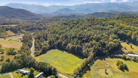 Tiny photo for 0 Jones Cove Rd, Cosby, TN 37722 (MLS # 1317326)