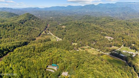 Tiny photo for 0 Jones Cove Rd, Cosby, TN 37722 (MLS # 1317326)
