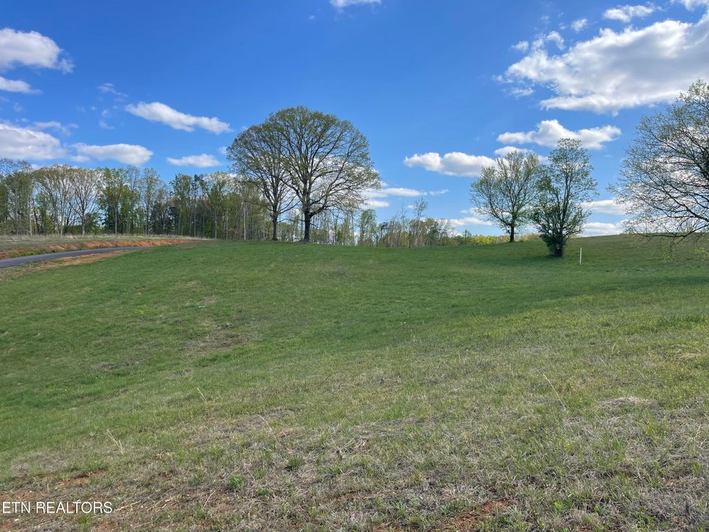 Photo of 4 Laura Boling Loop Rd, Strawberry Plains, TN 37871 (MLS # 1297322)
