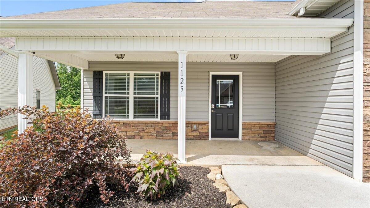1125 Blackstone View Lane