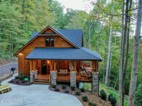 4317 Whetstone Rd Sevierville TN 37862