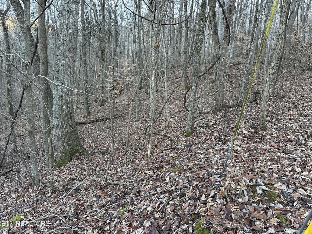 Photo of 83 Stone Ridge Road, Pikeville, TN 37367 (MLS # 1326170)