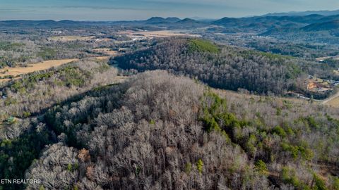 Tiny photo for 2 Unicoi Church Rd, Tellico Plains, TN 37385 (MLS # 1324310)