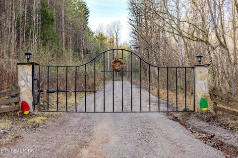 Tiny photo for 2 Unicoi Church Rd, Tellico Plains, TN 37385 (MLS # 1324310)