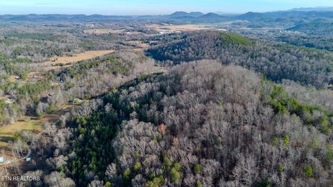 Tiny photo for 2 Unicoi Church Rd, Tellico Plains, TN 37385 (MLS # 1324310)