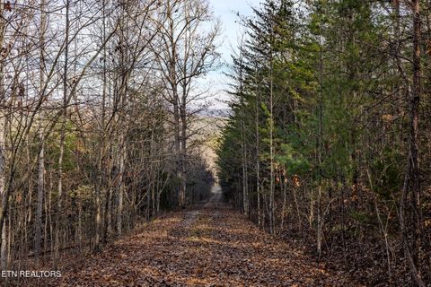 Tiny photo for 2 Unicoi Church Rd, Tellico Plains, TN 37385 (MLS # 1324310)