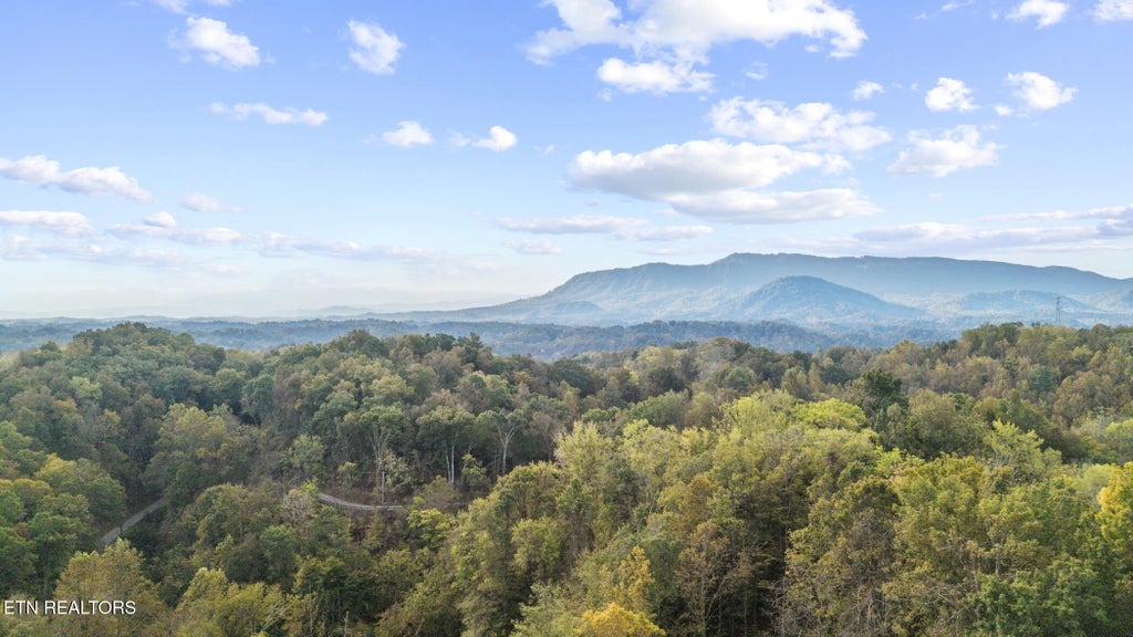 Photo of Long Branch Rd, Seymour, TN 37865 (MLS # 1359398)