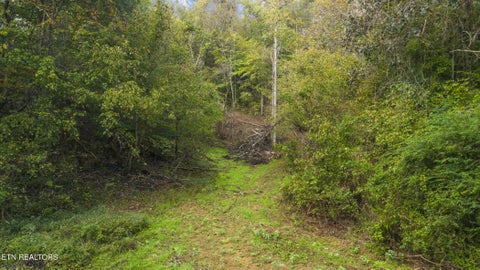 Tiny photo for Long Branch Rd, Seymour, TN 37865 (MLS # 1359398)