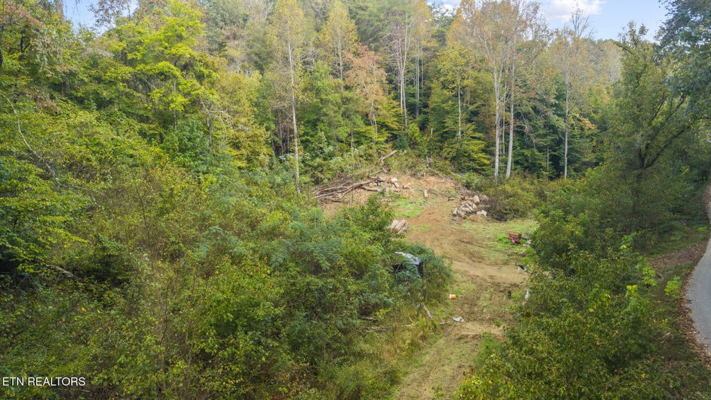 Photo of Long Branch Rd, Seymour, TN 37865 (MLS # 1359398)