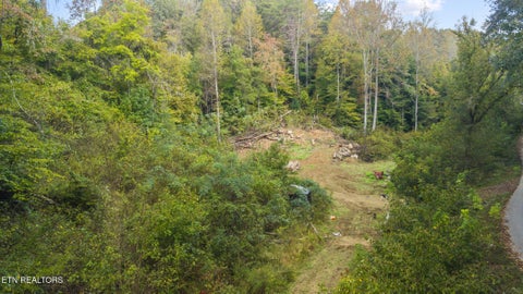 Photo of Long Branch Rd, Seymour, TN 37865 (MLS # 1359398)