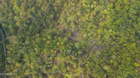 Tiny photo for Long Branch Rd, Seymour, TN 37865 (MLS # 1359398)