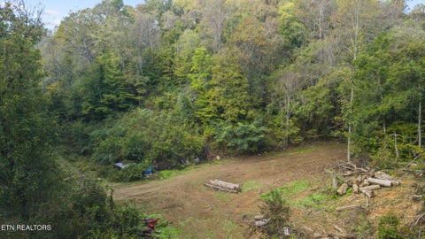 Tiny photo for Long Branch Rd, Seymour, TN 37865 (MLS # 1359398)
