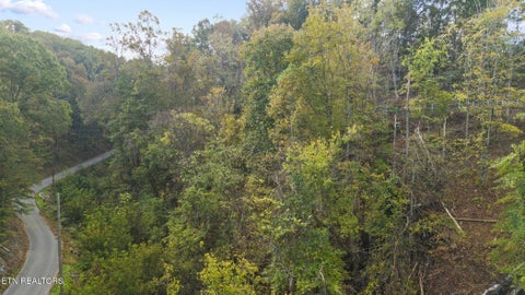Tiny photo for Long Branch Rd, Seymour, TN 37865 (MLS # 1359398)