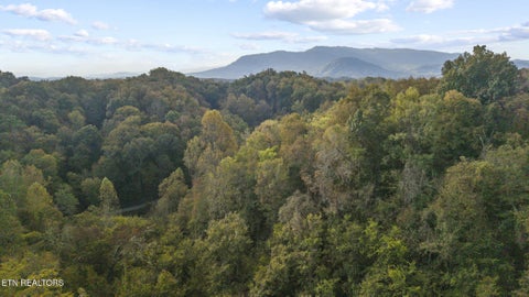 Tiny photo for Long Branch Rd, Seymour, TN 37865 (MLS # 1359398)