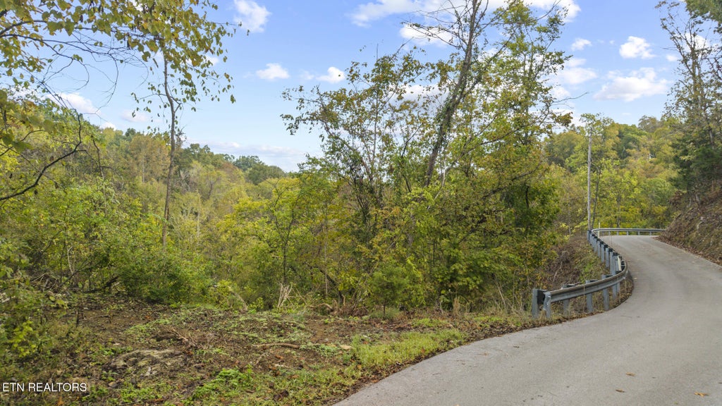 Photo of Long Branch Rd, Seymour, TN 37865 (MLS # 1359398)