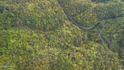Tiny photo for Long Branch Rd, Seymour, TN 37865 (MLS # 1359398)