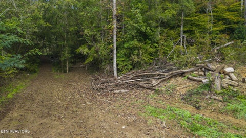 Tiny photo for Long Branch Rd, Seymour, TN 37865 (MLS # 1359398)