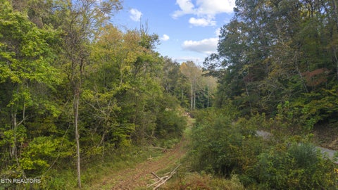 Tiny photo for Long Branch Rd, Seymour, TN 37865 (MLS # 1359398)
