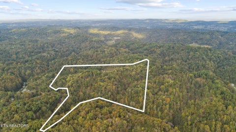 Tiny photo for Long Branch Rd, Seymour, TN 37865 (MLS # 1359398)