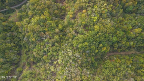 Tiny photo for Long Branch Rd, Seymour, TN 37865 (MLS # 1359398)