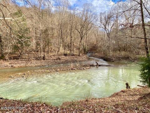 Tiny photo for 217 Saw Mill Lane, Duff, TN 37729 (MLS # 1328275)