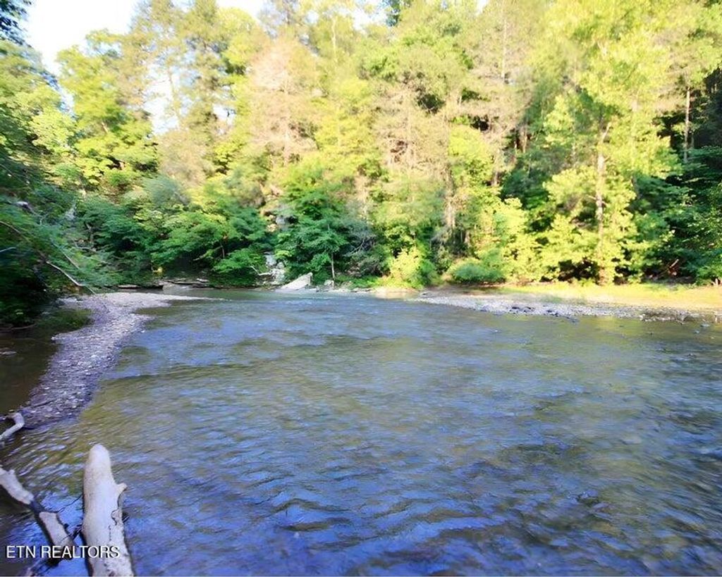 Photo of 217 Saw Mill Lane, Duff, TN 37729 (MLS # 1328275)