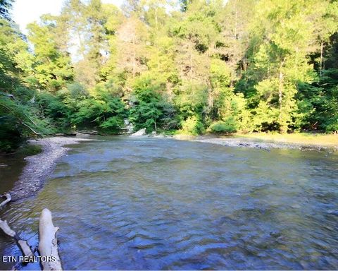 Photo of 217 Saw Mill Lane, Duff, TN 37729 (MLS # 1328275)