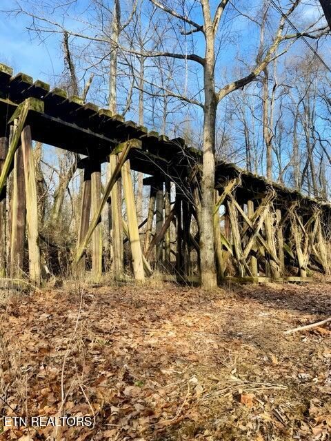 Tiny photo for 217 Saw Mill Lane, Duff, TN 37729 (MLS # 1328275)