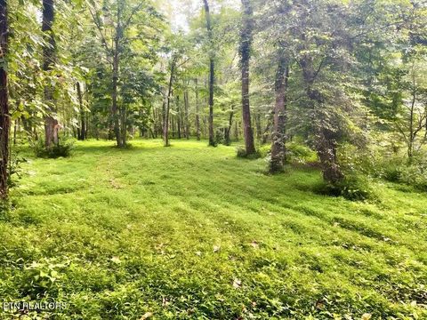 Tiny photo for 217 Saw Mill Lane, Duff, TN 37729 (MLS # 1328275)
