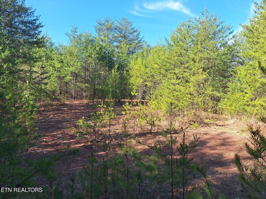 Photo of TN-360, Tellico Plains, TN 37385 (MLS # 1292361)