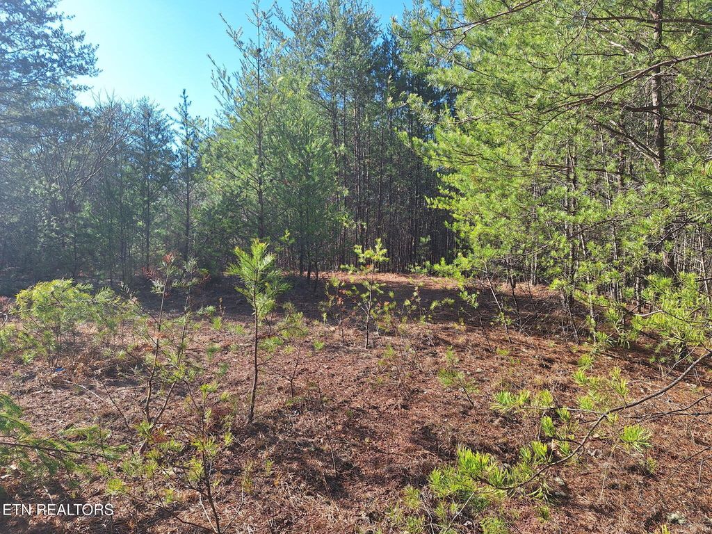 Photo of TN-360, Tellico Plains, TN 37385 (MLS # 1292361)