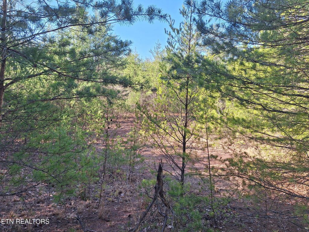 Photo of TN-360, Tellico Plains, TN 37385 (MLS # 1292361)