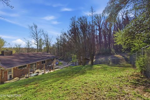 Tiny photo for 402 Bluff Rd, Kingston, TN 37763 (MLS # 1333998)