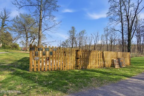 Tiny photo for 402 Bluff Rd, Kingston, TN 37763 (MLS # 1333998)