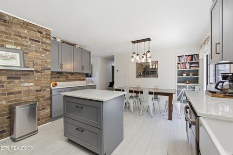 Tiny photo for 402 Bluff Rd, Kingston, TN 37763 (MLS # 1333998)