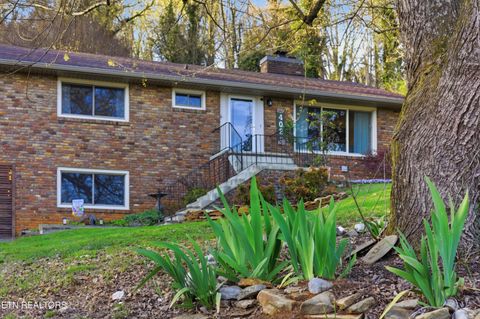 Tiny photo for 402 Bluff Rd, Kingston, TN 37763 (MLS # 1333998)