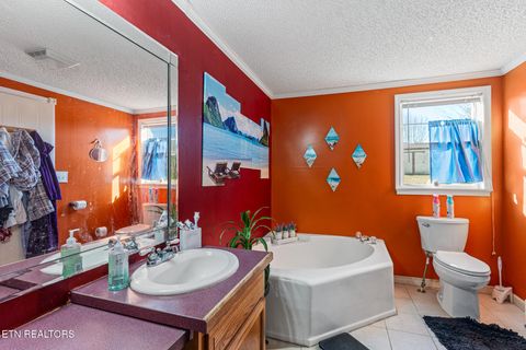 Tiny photo for 505 Lake Circle, Spring City, TN 37381 (MLS # 1329399)