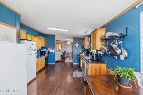 Tiny photo for 505 Lake Circle, Spring City, TN 37381 (MLS # 1329399)