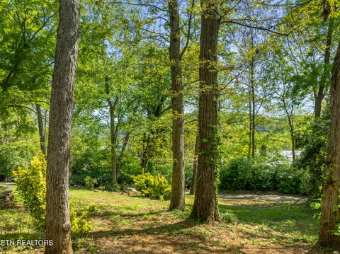 Tiny photo for 1313 Cherokee Blvd, Knoxville, TN 37919 (MLS # 1336405)