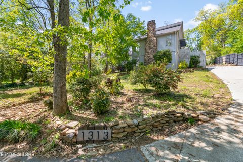 Tiny photo for 1313 Cherokee Blvd, Knoxville, TN 37919 (MLS # 1336405)